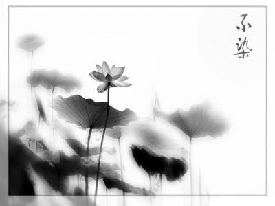 水墨画（二年级以上）   周日下午3:00—4:30